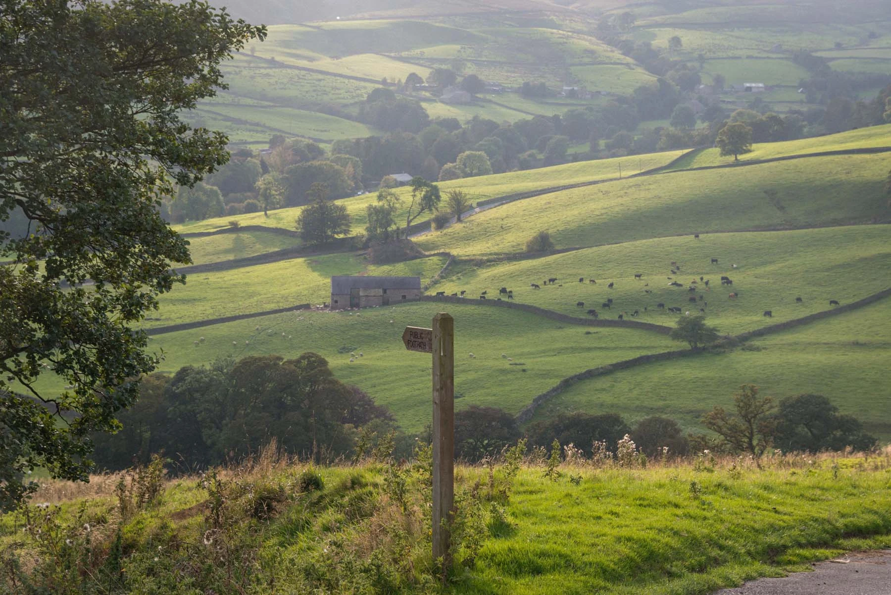 Exploring the beauty of the Nidderdale National Landscape