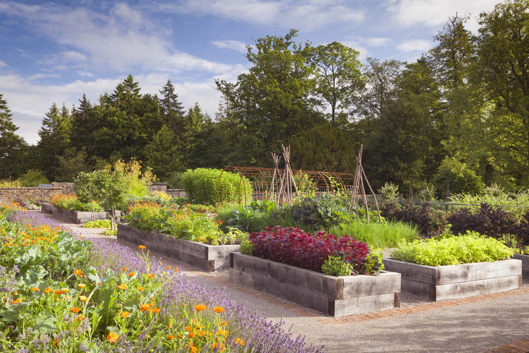 Find your Escape in productive kitchen gardens in North Yorkshire.