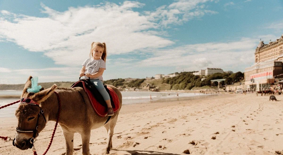 Seaside donkey rides, in Scarborough, North Yorkshire