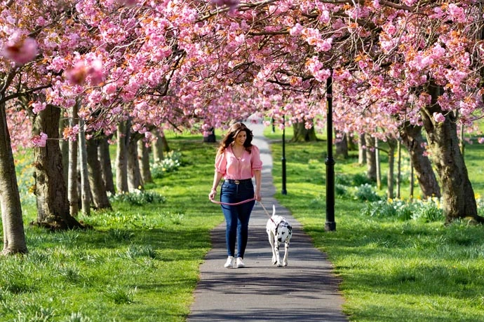 The Stray in Harrogate, North Yorkshire