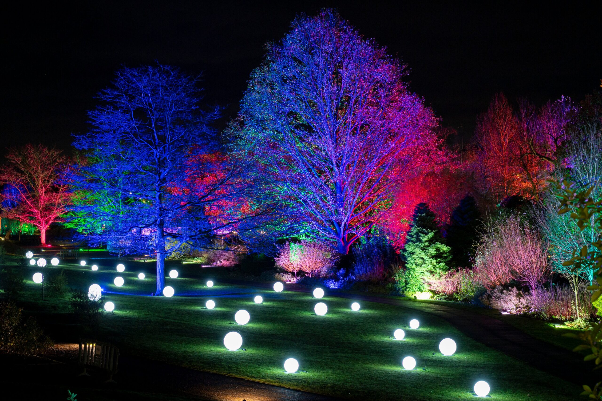 GLow at RHS Garden Harlow Carr, Harrogate.