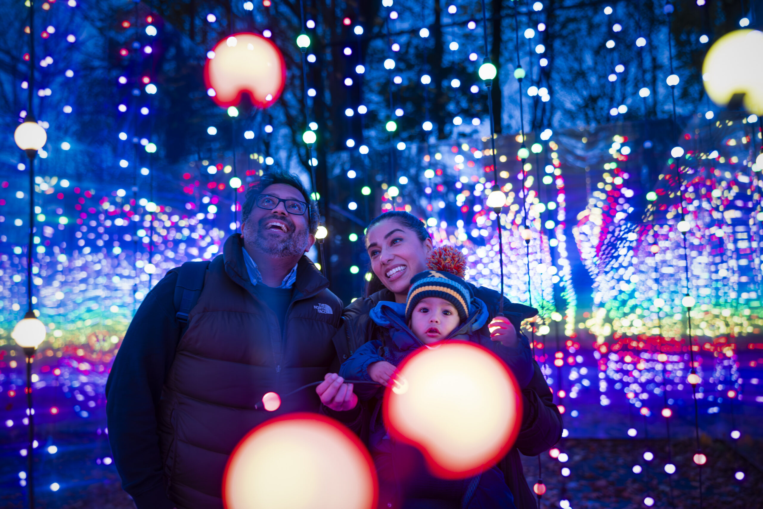 An image of Stockheld Park Christmas Illuminations