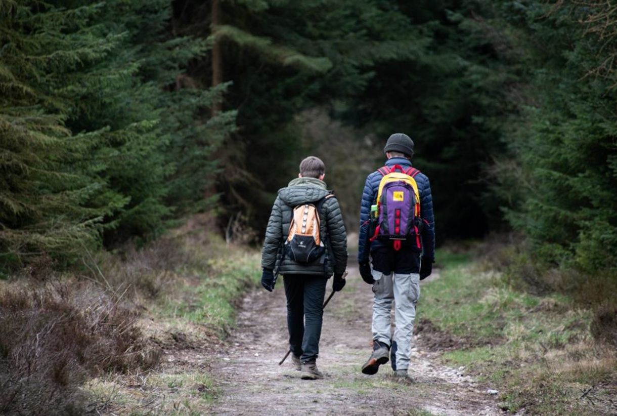 Forest Walks in North Yorkshire