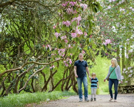 Exploring Spring Gardens in North Yorkshire